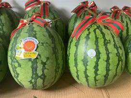 Dưa hấu