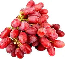 Nho đỏ không hạt