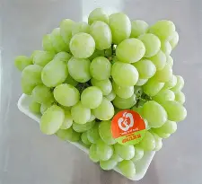 Nho xanh không hạt