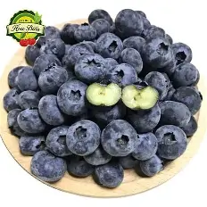 Việt quất (Blueberry)