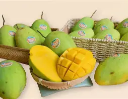 Xoài Cát Hòa Lộc